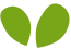 https://nutrineedslife.iashverma.in/wp-content/uploads/2022/04/green_leaf.png